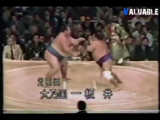 sumo wrestling brutal and best knockouts compilation (2017)
