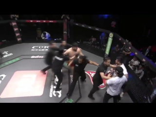 mongolian datsik in mma went wild in the ring and was barely stopped (02/25/2017)